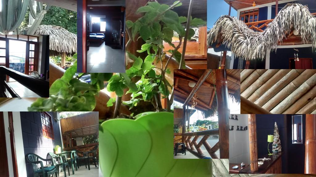 Hostel El Gran Azul โอลอน ห้อง รูปภาพ